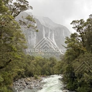 Fiordland forest and waterfall cliffs above a river, Milford Road, New Zealand