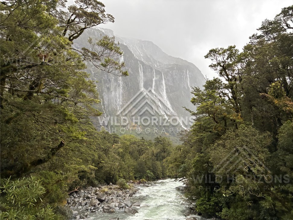 Fiordland forest and waterfall cliffs above a river, Milford Road, New Zealand