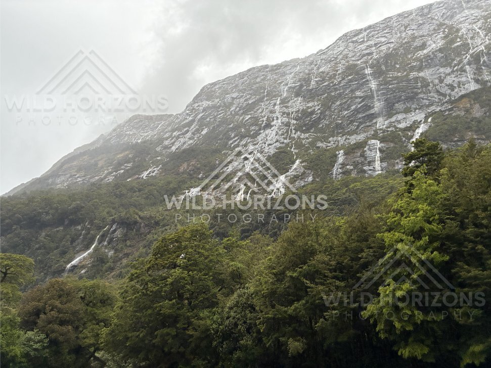 Thin waterfalls tracing a granite mountainside, Milford Road, New Zealand
