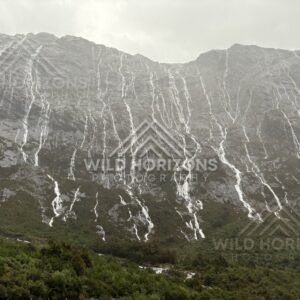 Dense network of waterfalls across Fiordland rock faces, Milford Road, New Zealand