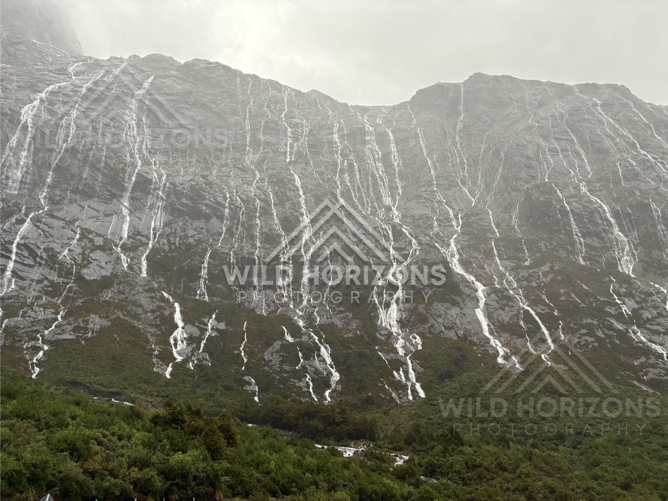 Dense network of waterfalls across Fiordland rock faces, Milford Road, New Zealand