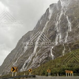 Roadside curve signs below cascading Fiordland waterfalls, Milford Road, New Zealand