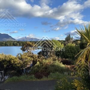 Native Shrubs and Cabbage Tree Overlooking a Lake, Milford Road, New Zealand