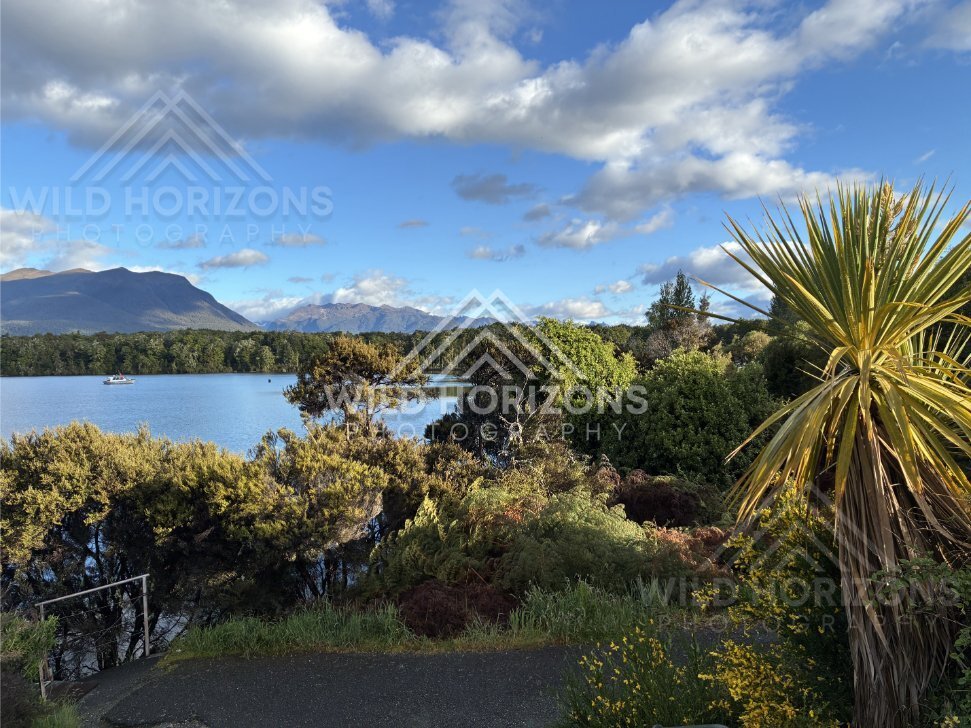 Native Shrubs and Cabbage Tree Overlooking a Lake, Milford Road, New Zealand