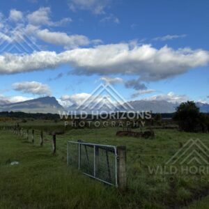 Open Grassland with Gate and Distant Mountains, Milford Road, New Zealand