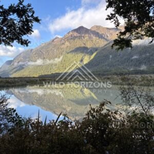 Mirror Lakes Panorama with Framed Reflections, Milford Road, New Zealand