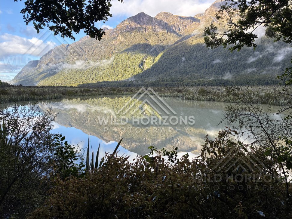 Still Mountain Reflections at Mirror Lakes, Milford Road, New Zealand