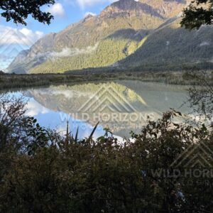 Mirror Lakes View with Bush Foreground, Milford Road, New Zealand