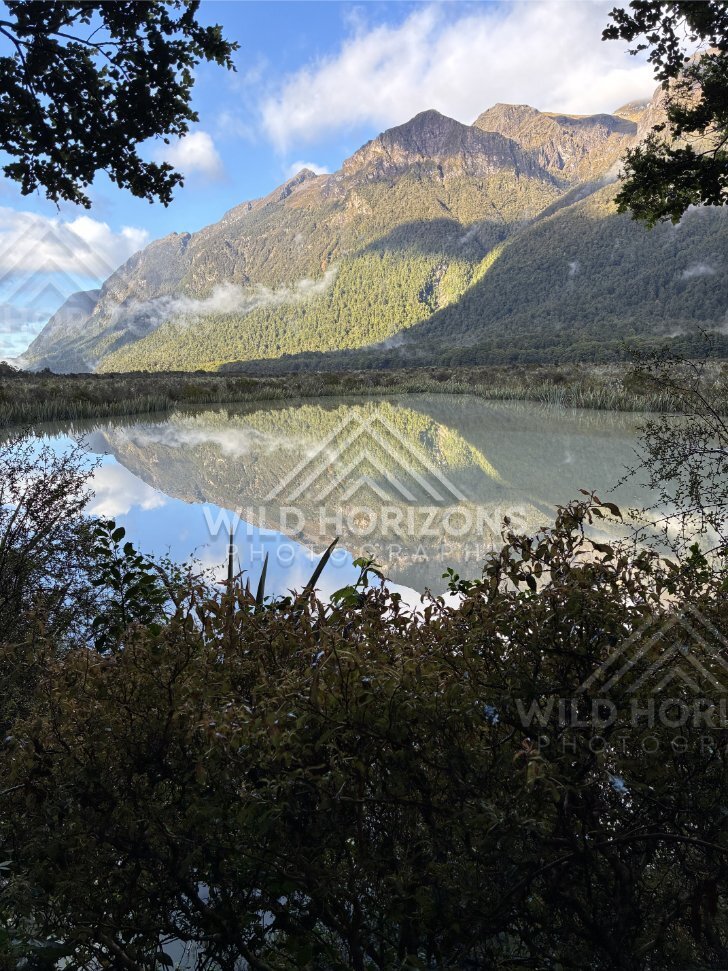 Mirror Lakes View with Bush Foreground, Milford Road, New Zealand