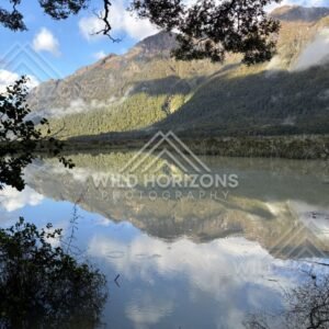 Vertical Reflection Scene at Mirror Lakes, Milford Road, New Zealand