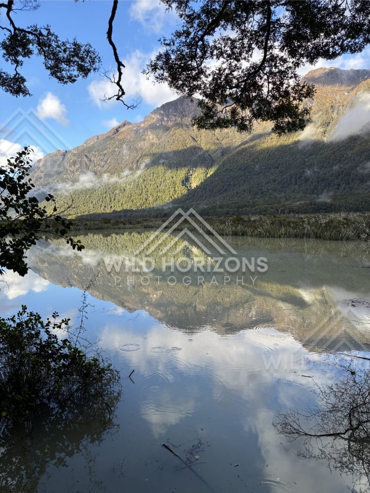 Vertical Reflection Scene at Mirror Lakes, Milford Road, New Zealand