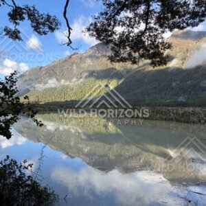 Mirror Lakes with Overhanging Canopy and Cloud Reflections, Milford Road, New Zealand