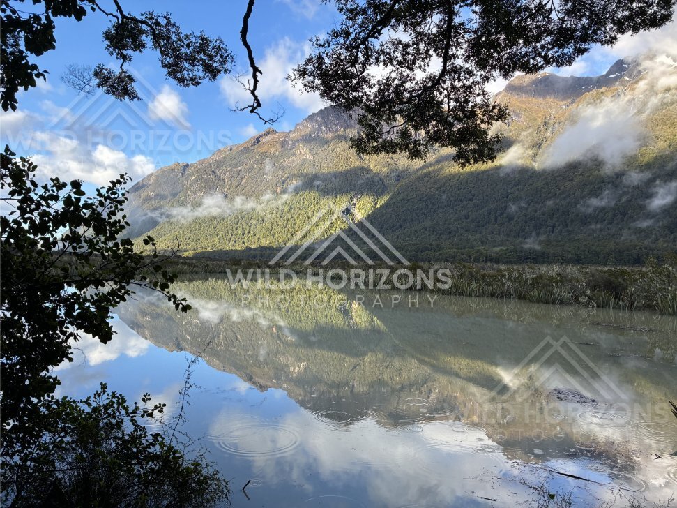 Mirror Lakes with Overhanging Canopy and Cloud Reflections, Milford Road, New Zealand