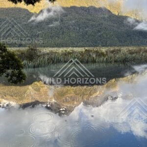 Rain Ripples on Mirror Lakes Reflection, Milford Road, New Zealand