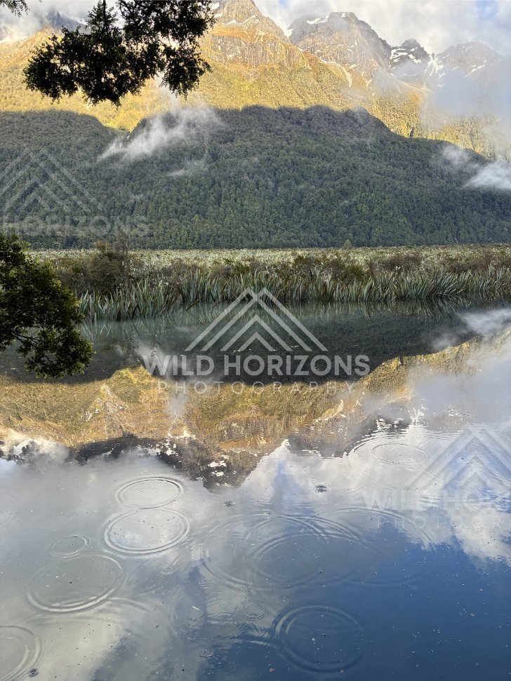 Rain Ripples on Mirror Lakes Reflection, Milford Road, New Zealand