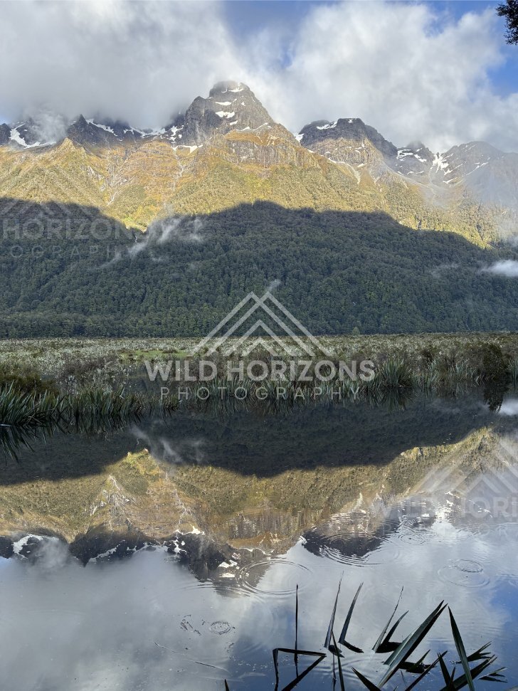 Peak Reflections Over Wetland Margin at Mirror Lakes, Milford Road, New Zealand