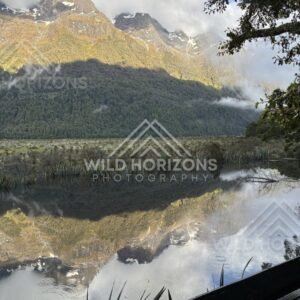 Mirror Lakes Edge with Rail and Reflections, Milford Road, New Zealand