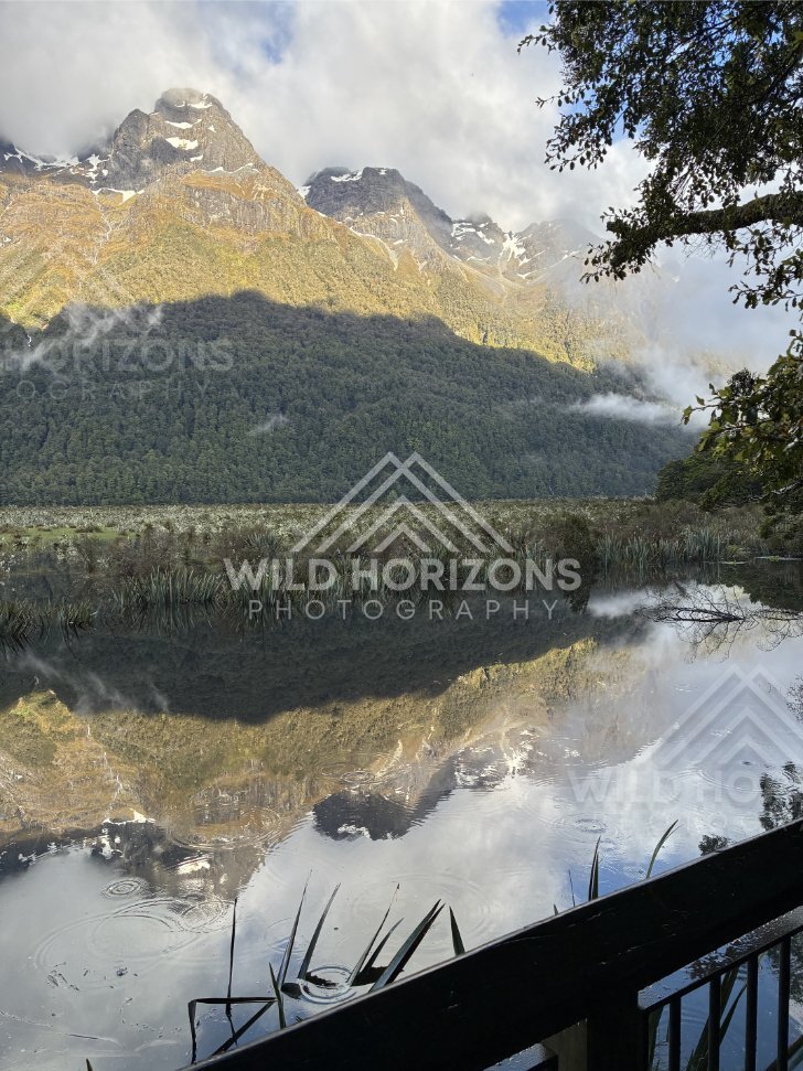 Mirror Lakes Edge with Rail and Reflections, Milford Road, New Zealand