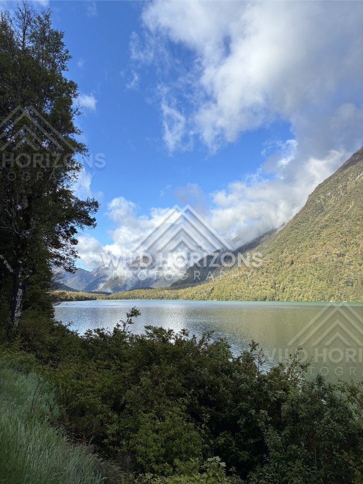 Forest and steep peaks beneath shifting cloud, Milford Road, New Zealand