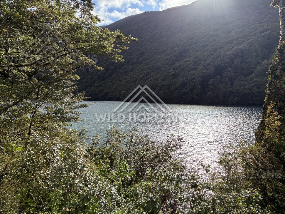 Open Fiordland valley under dramatic skies, Milford Road, New Zealand