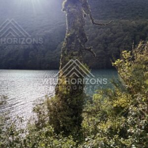 Mountain ridges emerging from low cloud near the Milford Road, New Zealand