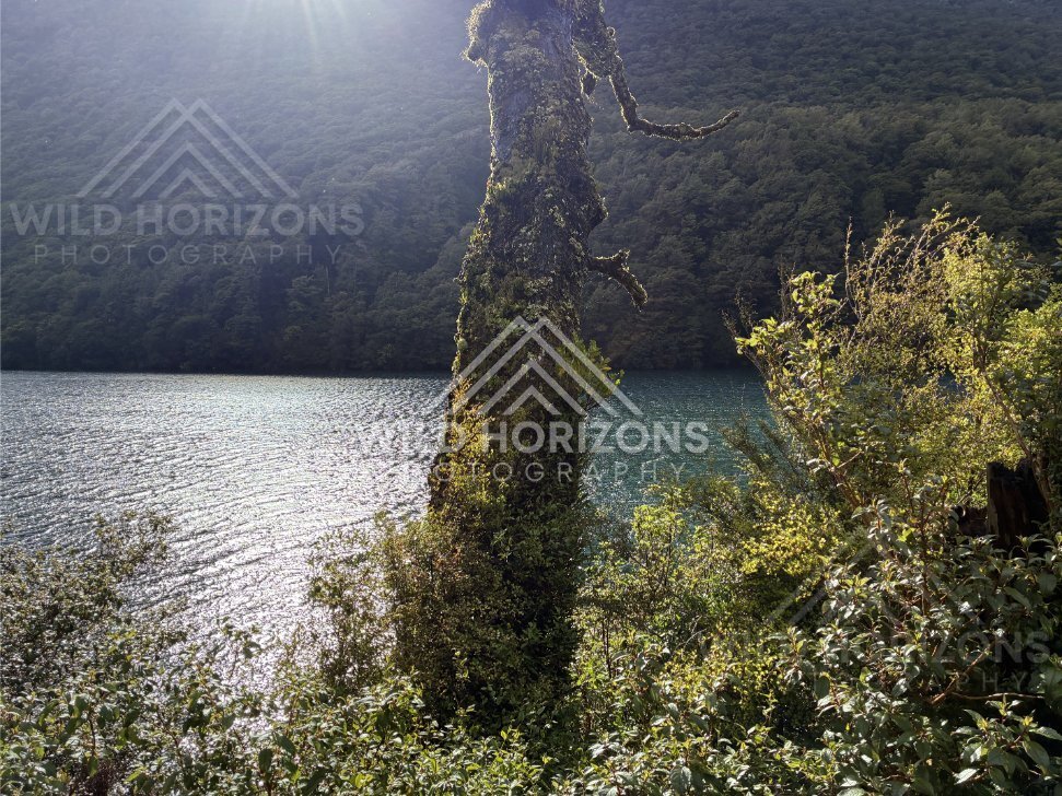 Mountain ridges emerging from low cloud near the Milford Road, New Zealand