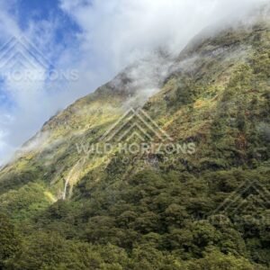 Sun breaking across forested hills, Milford Road, New Zealand