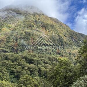 Wide alpine basin framed by rugged peaks, Milford Road, New Zealand
