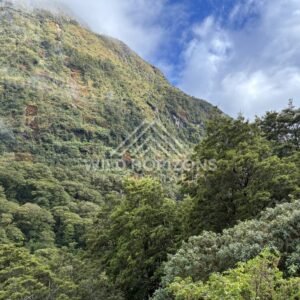 Mist lifting from the mountains along the Milford Road, New Zealand