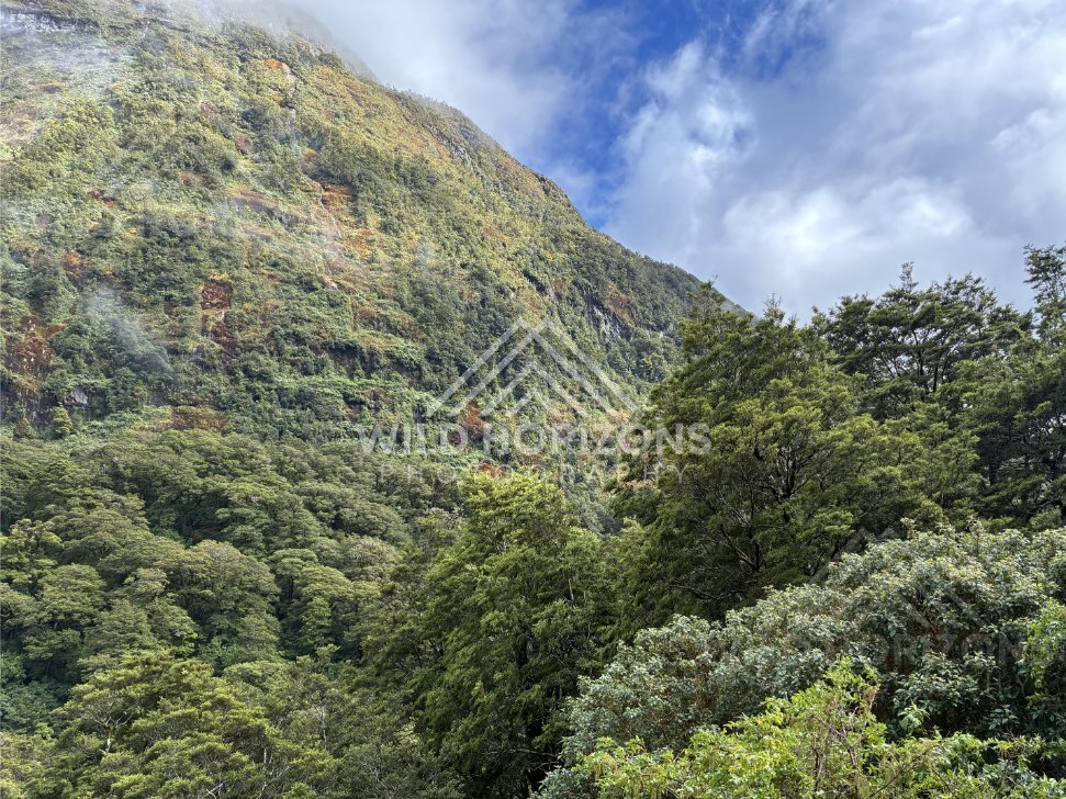 Mist lifting from the mountains along the Milford Road, New Zealand