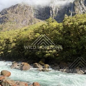 Tussock grassland beneath towering slopes, Milford Road, New Zealand