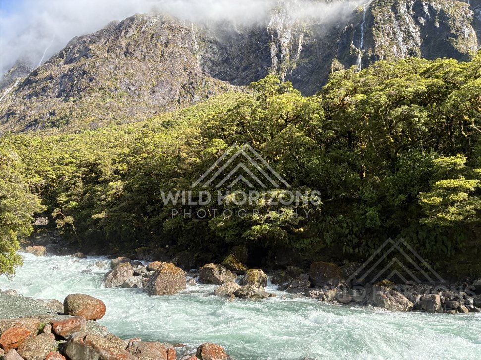 Tussock grassland beneath towering slopes, Milford Road, New Zealand
