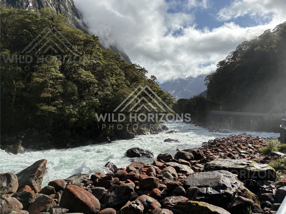 Steep Fiordland peaks rising above native forest, Milford Road, New Zealand