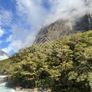 Cloud bands drifting across rugged mountain faces, Milford Road, New Zealand