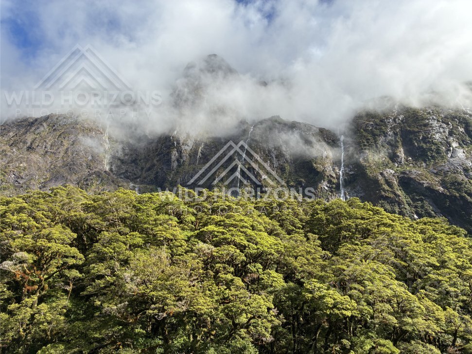 Remote alpine terrain beside the Milford Road, New Zealand