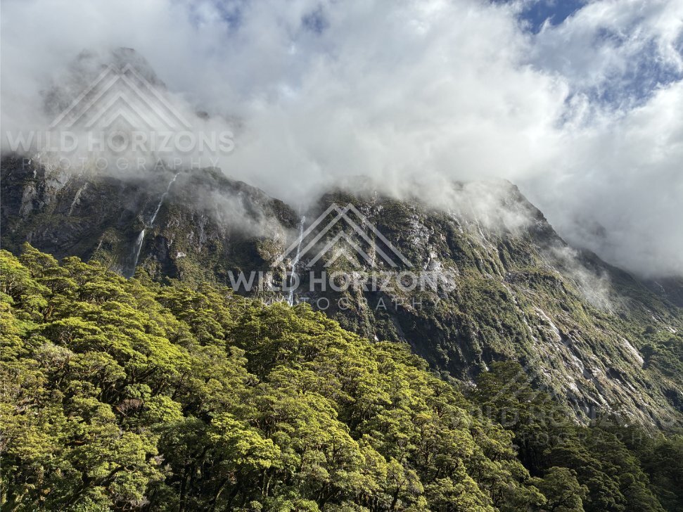 Sunlit hills and dark forest contrast, Milford Road, New Zealand