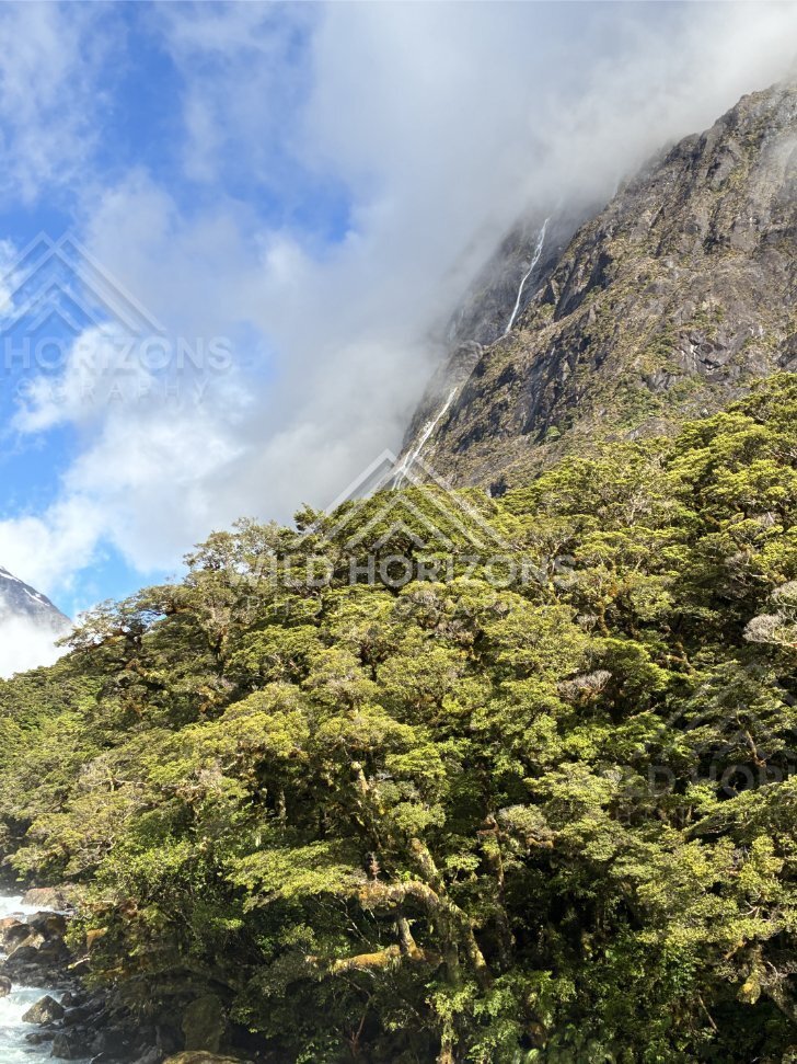 Fiordland slopes illuminated between passing clouds, Milford Road, New Zealand