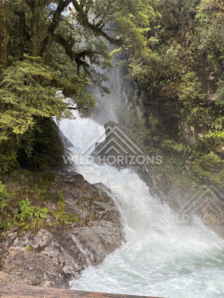 Natural alpine scenery along the Milford Road corridor, New Zealand