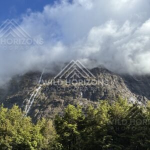 Open mountain landscape framed by cloud and forest, Milford Road, New Zealand