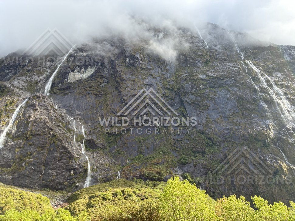 Multiple Waterfalls on a Sheer Fiordland Mountainside, Milford Road, Fiordland National Park, New Zealand