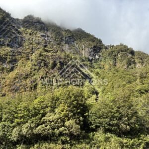 Mossy Fiordland Hillside under Low Cloud, Milford Road, Fiordland National Park, New Zealand