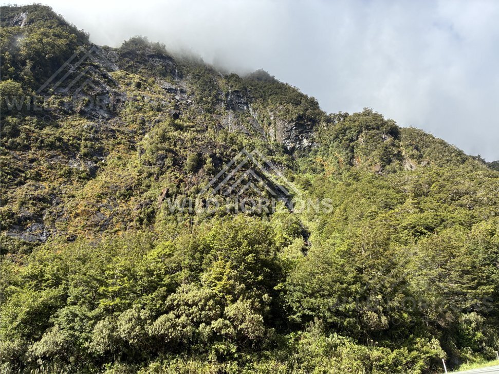 Mossy Fiordland Hillside under Low Cloud, Milford Road, Fiordland National Park, New Zealand