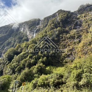 Mountain Road Signs below a Misty Fiordland Ridge, Milford Road, Fiordland National Park, New Zealand