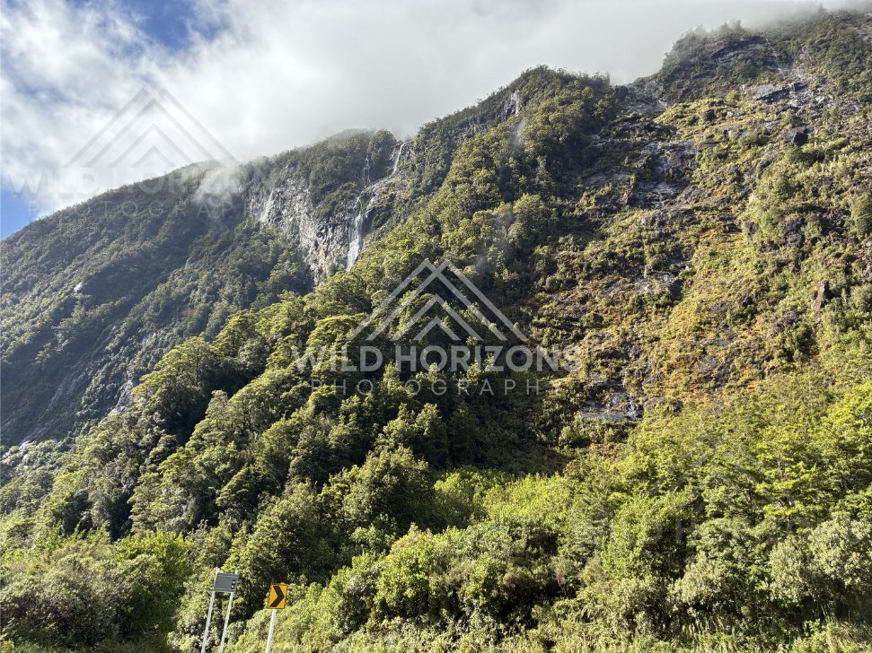 Mountain Road Signs below a Misty Fiordland Ridge, Milford Road, Fiordland National Park, New Zealand