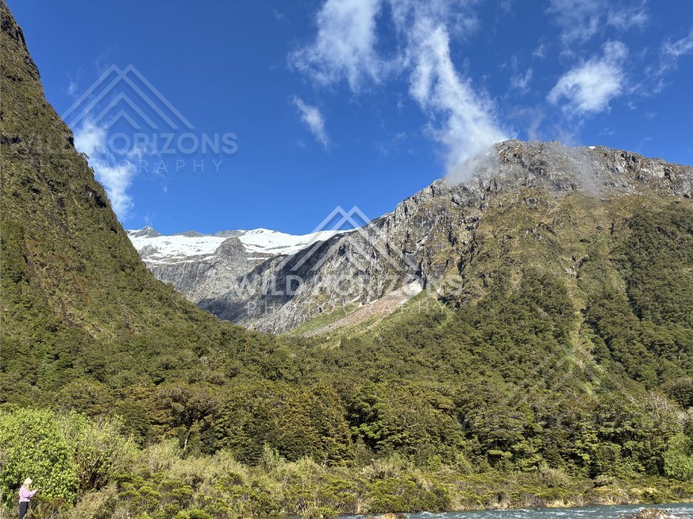 Glacier-Capped Ridge above Fiordland Forest, Milford Road, Fiordland National Park, New Zealand