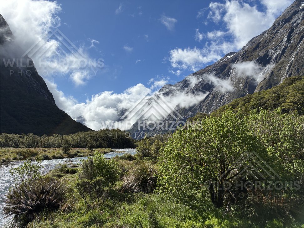 Fiordland Valley River with Low Cloud on Granite Slopes, Milford Road, Fiordland National Park, New Zealand