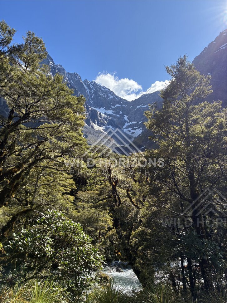Forest-Framed Alpine Basin with Snow Patches, Milford Road, Fiordland National Park, New Zealand