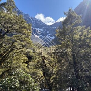 Sunbeams over Fiordland Forest and Alpine Cirque, Milford Road, Fiordland National Park, New Zealand