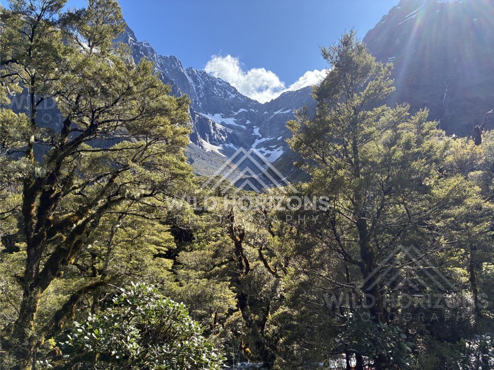 Sunbeams over Fiordland Forest and Alpine Cirque, Milford Road, Fiordland National Park, New Zealand