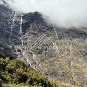 Waterfall Web and Roadside Shelter Under Heavy Mist, Milford Road, Fiordland National Park, New Zealand